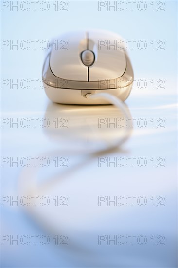 Computer mouse.