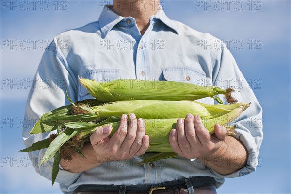 Man holding cobs of corn.