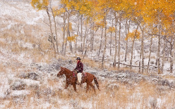 Horseback rider.