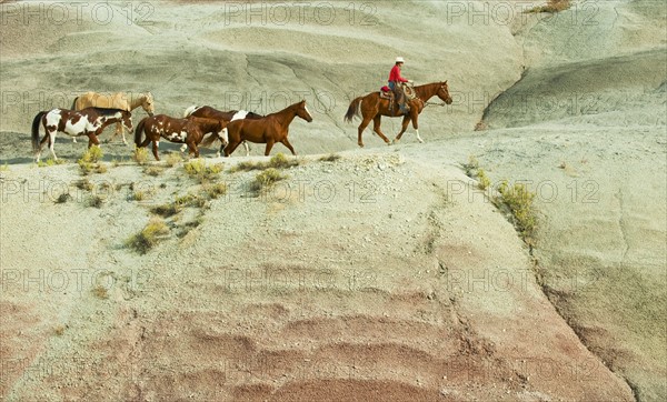 Horseback rider.