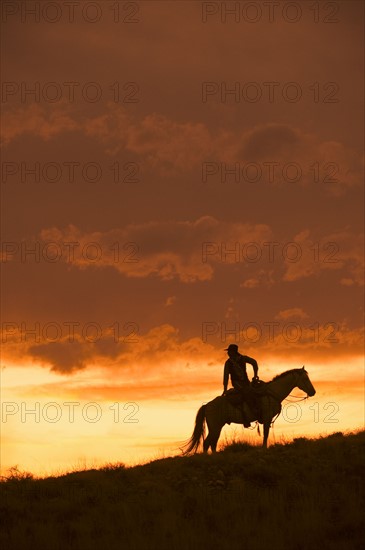 Horseback rider.