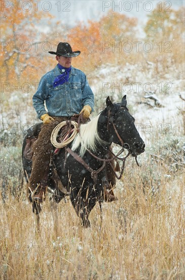 Horseback rider.