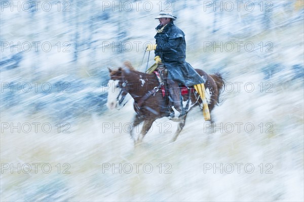 Horseback rider.