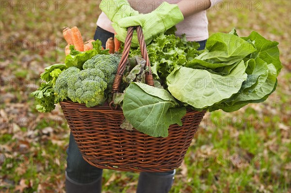 Basket of vegetables.