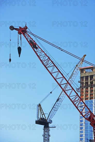 Cranes