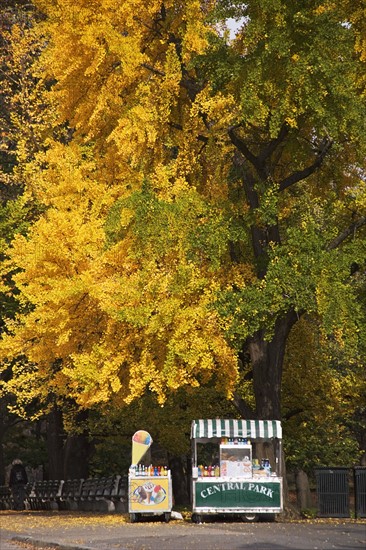 Hot dog vendor