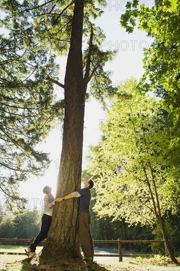 Couple hugging tree