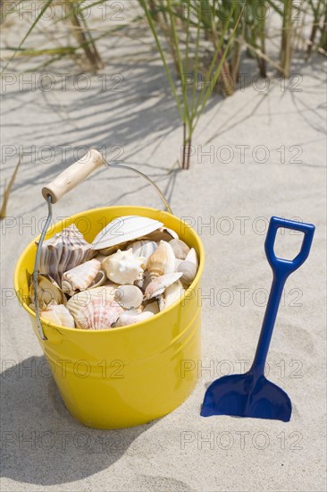 Beach shovel and pail of shells