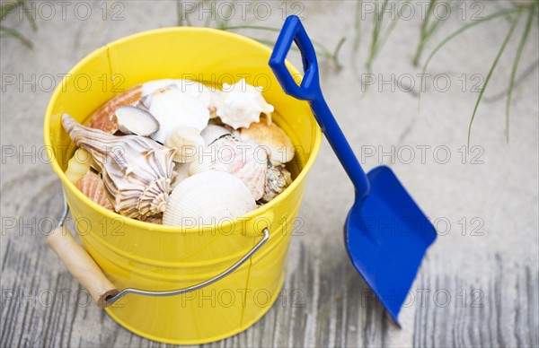 Beach shovel and pail of shells