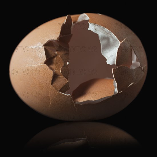 Cracked brown egg shell