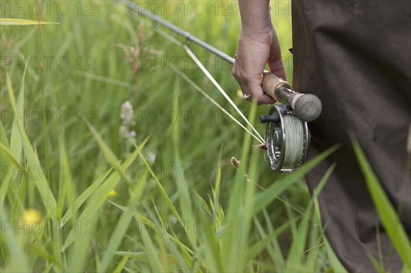 Fishing pole