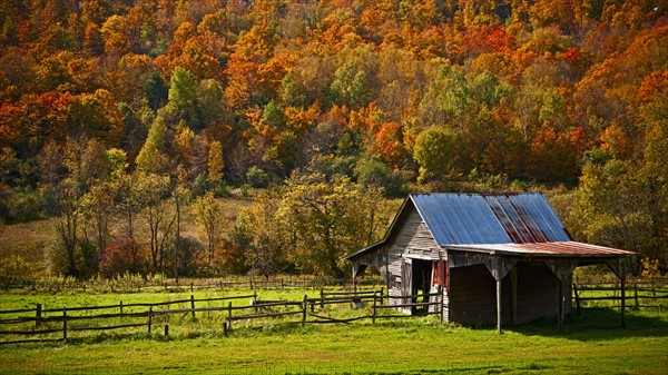 Barn in autumn