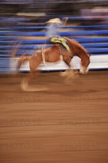 Bronco riding