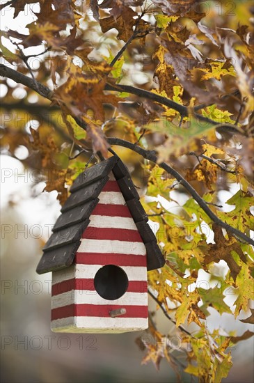 Birdhouse.