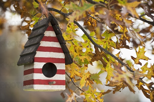 Birdhouse.