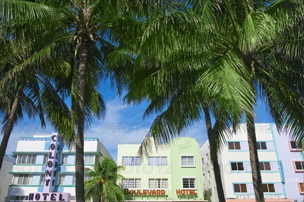 Palm trees and art deco buildings.