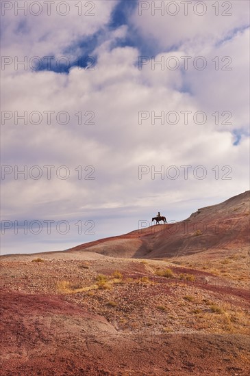 Horseback rider.