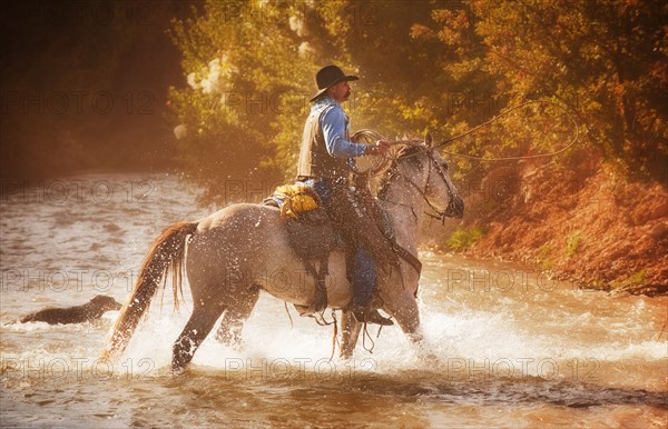 Horseback rider.