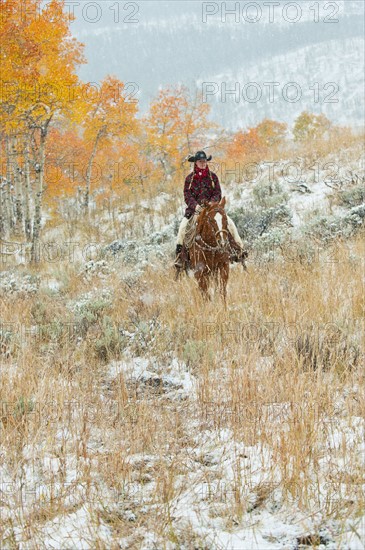 Horseback rider.