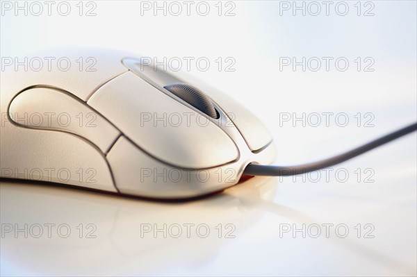 Computer mouse.