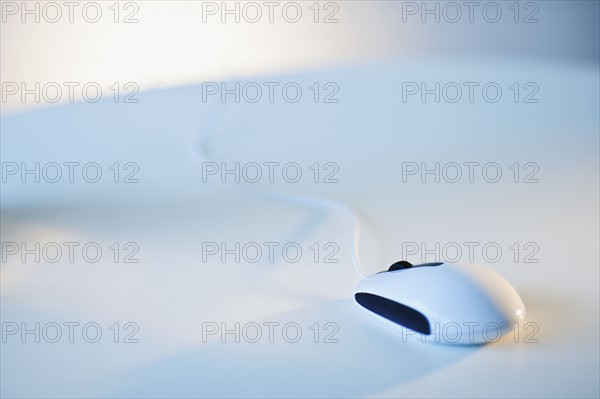 Computer mouse.