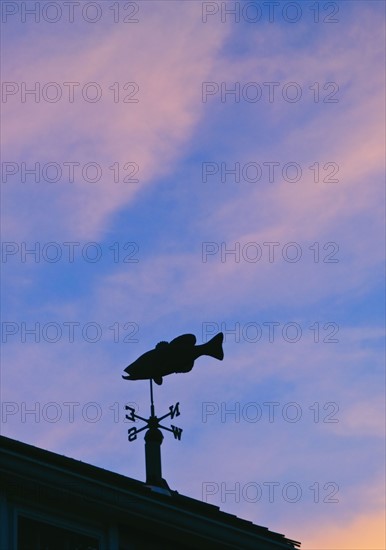 Fish weathervane.