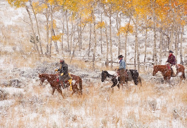 Horseback riders.