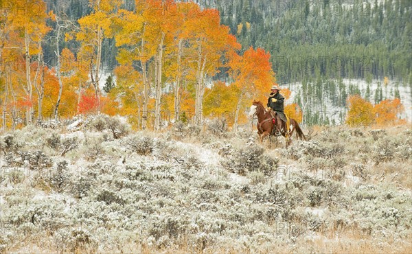 Horseback rider.