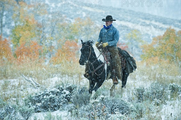 Horseback rider.