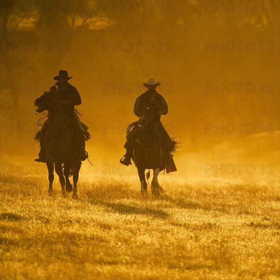 Horseback riders.