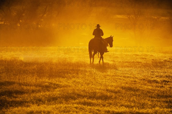 Horseback rider.