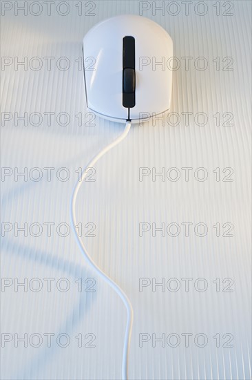 Computer mouse.