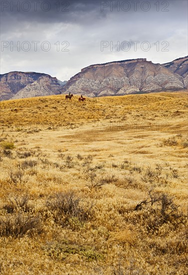 Horseback riding.