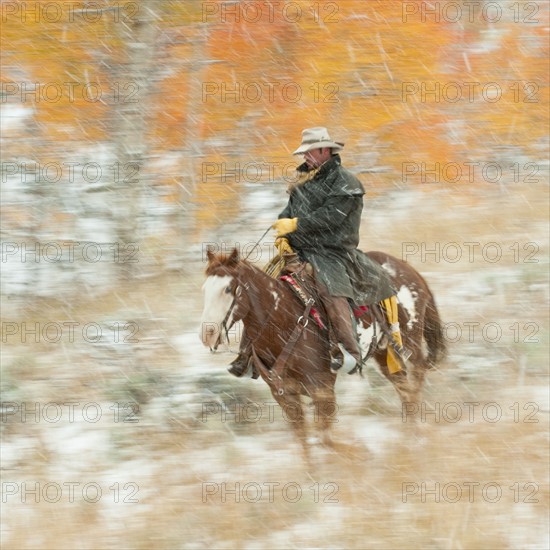 Horseback rider in rain.