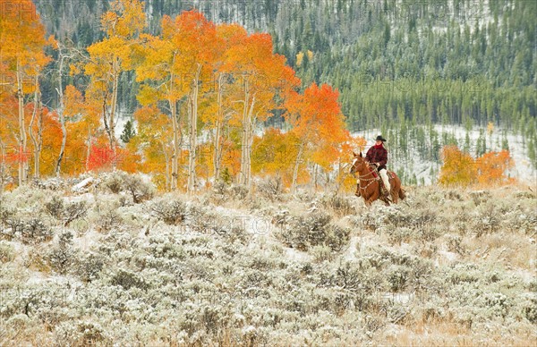 Horseback rider.