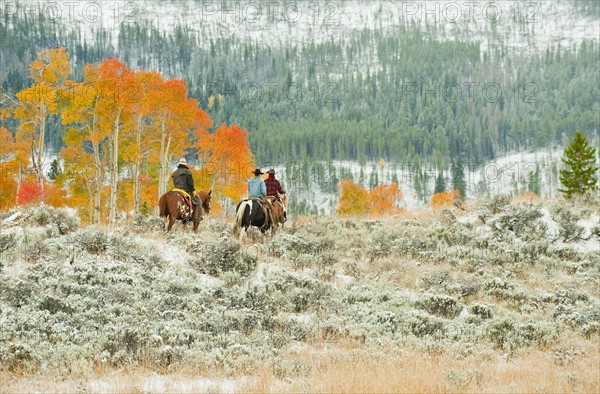 Horseback riders.