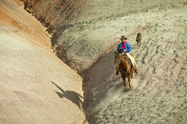 Horseback rider.