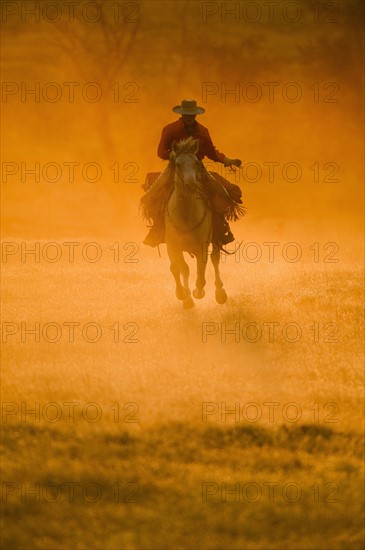 Horseback rider.