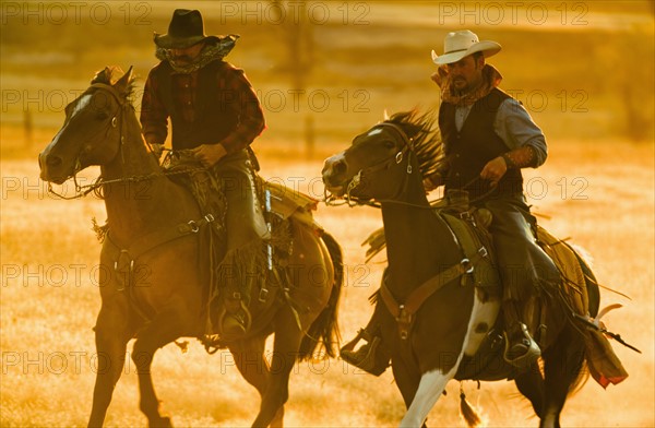 Horseback riders.