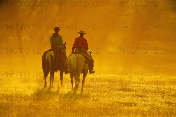 Horseback riders.