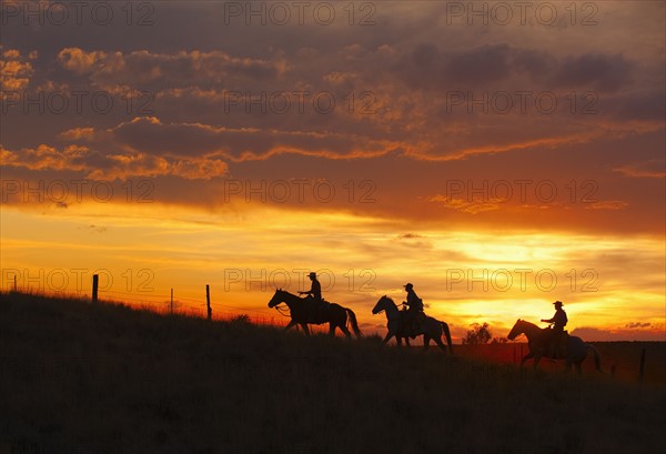 Horseback riders at sunset.