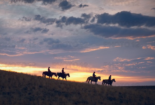 Horseback riders at sunset.