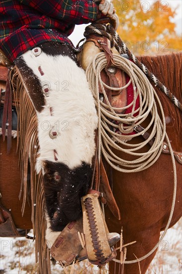 Cowgirl on horse.