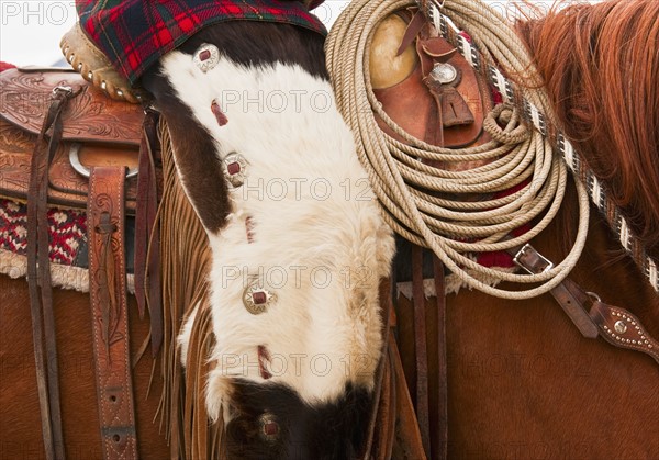 Cowboy on horse.