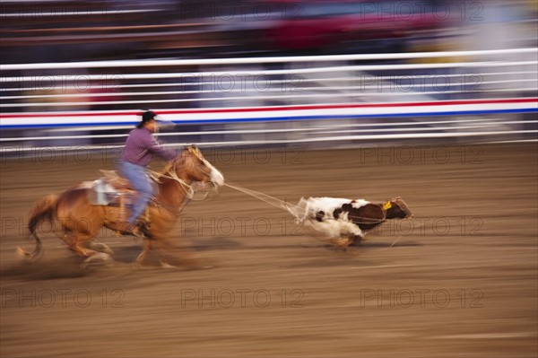 Calf roping