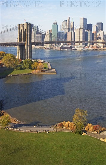 Park and cityscape