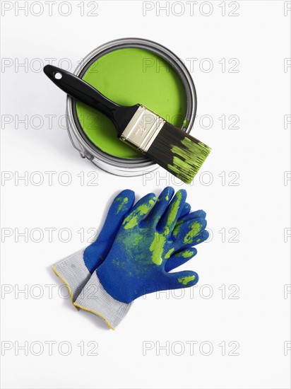 Paint brush and gloves