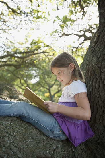 Girl reading book in tree