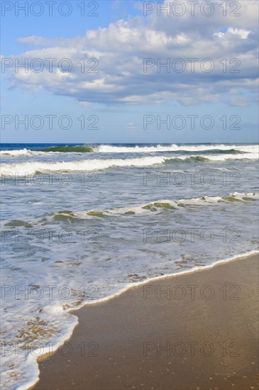 Waves at the beach