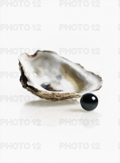 Oyster and pearl